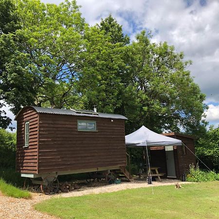The Shepherds Hut At The Shippen, Tiphayes Honiton Exterior foto