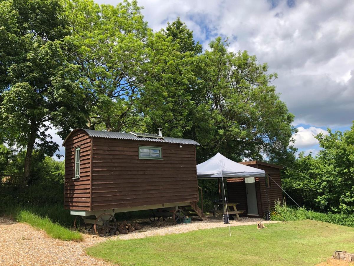 The Shepherds Hut At The Shippen, Tiphayes Honiton Exterior foto